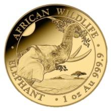 Somalia 2023 Gold Elephant 1 ounce