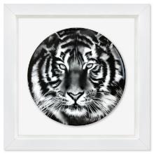 Robert Longo "Tiger" Framed Limited Edition Plate with Letter of Authenticity