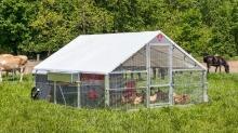 NEW 10x12 Alumi-Coop