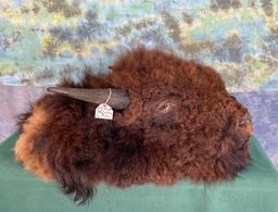 American Bison Rug Head For Table or Wall Display Taxidermy Mount