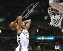 Giannis Antetokounmpo Milwaukee Bucks Warriors Autographed 8x10 Photo GA coa
