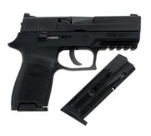 Sig Sauer P250 9mm Semi Auto Pistol