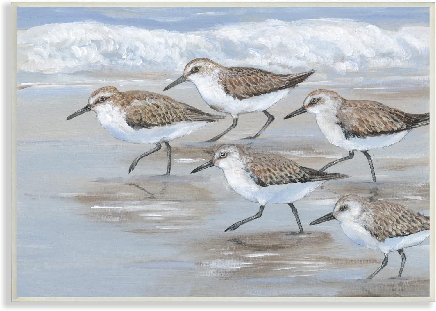 Stupell Industries Sandpiper Bird Flock Wall Plaque, 19 x 13, Tan, Retail $50.00