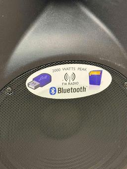 Edison Professional M-2000 Plus 15" High Power PA Speaker Bluetooth