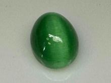 11.8ct Green Cats Eye Cabochon Gemstone