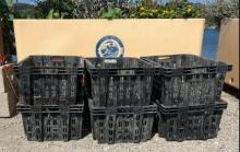 14 large Rotogal containers various flowers shellfish baskets for depuration system