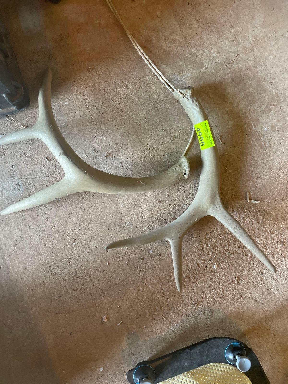 deer antlers