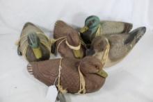 Five paper mache duck decoys. 4 mallard and one pintail. Used, in good condition, with strings and