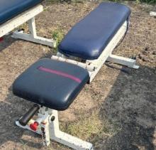 Exercise bench