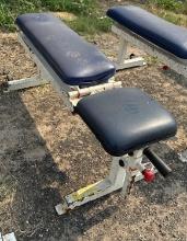 Pro-maxima Exercise bench