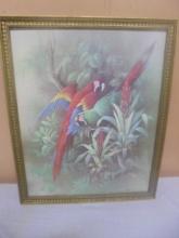 Vintage Framed Parrot Print