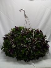 LIVE 24” Hanging Basket Floral Arrangement