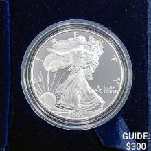 2005-W Silver Eagle