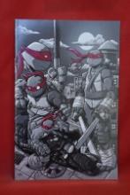 TMNT UNIVERSE #22 | LATTIE IDW SHOWCASE VARIANT