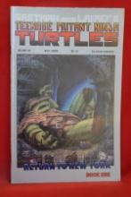 TMNT #19 | RETURN TO NEW YORK - PART 1 | VOLUME 1 - 1989