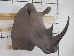 Cool Reproduction Rhino Sh Mt TAXIDERMY