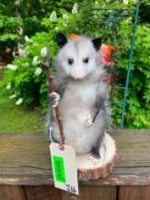 Cute, little possum, with a backpack, full on snacks, & walking stick, hiking, 12 inches tall, on a