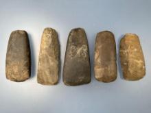 Lot of 5 Celts, Longest is 5 3/16", Mainly Found in Gloucester County, New Jersey