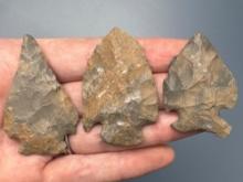 3 Onondaga Chert Jacks Reef Related Points, Longest is 2 1/8", Found in New York, Ex: Dave Summers