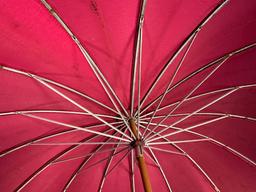 Vintage Umbrella Parasol