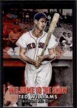 Ted Williams 2022 Topps Welcome the the Show Insert #WTTS-32