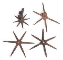 Assorted lot of Early Spiked Spurs, 16th c.
