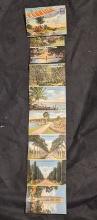 Florida the winter vacationland Uncut Post Cards