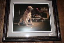 Framed print yellow lab with decoy