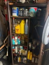 Metal cabinet with contents in shed