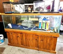 72 inch fish tank with accessories