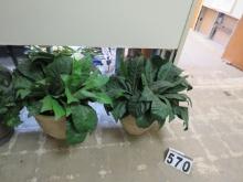 Pair of White Planters with Foilage