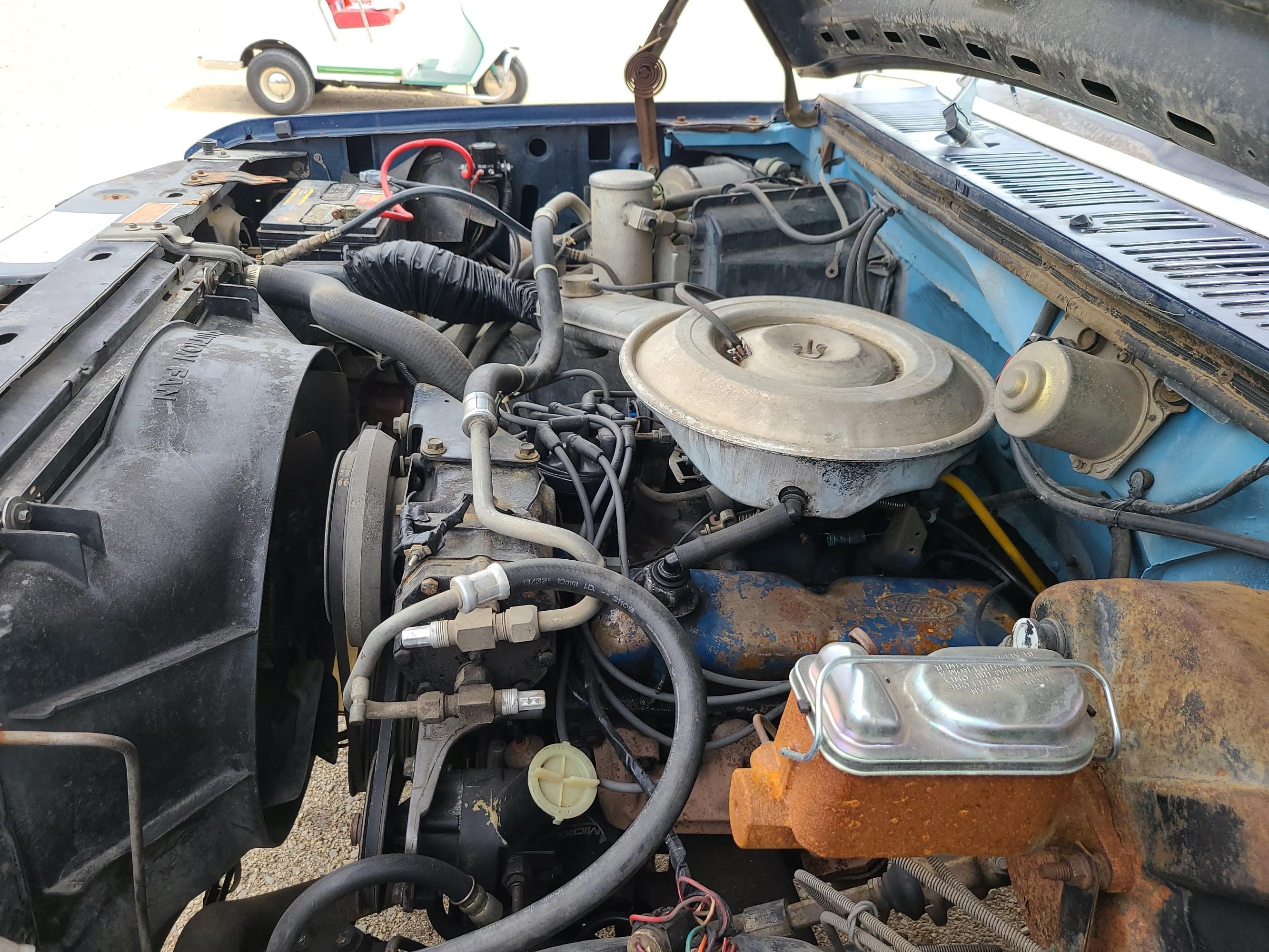 1981 Ford Bronco XLT