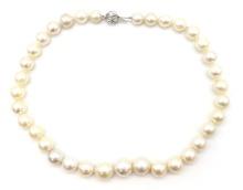 14K White Gold Cultured South Sea Pearl Necklace