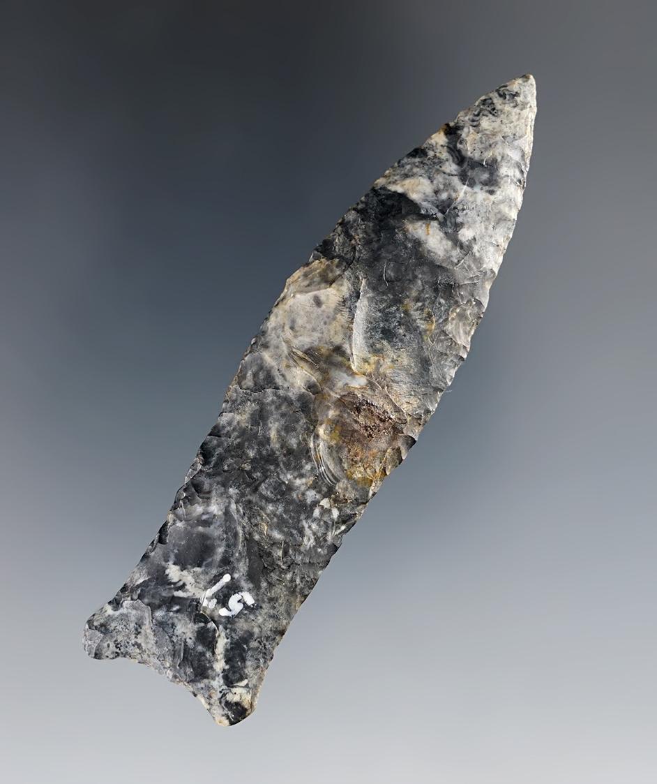 3 1/8" Unfluted Cumberland - Coshocton Flint. Found in Ohio. Ramp collection number O-57.