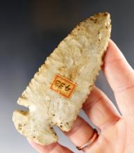 Exceptional! 3 7/8" Beautifully serrated Flint Ridge Dovetail. Delaware Co. Ohio. Ex. Caldwell.