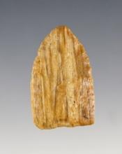 1 1/2" Paleo Milnesand - Agatized wood.  Sabina River - Sabina Parish Louisiana. 2 COAs.