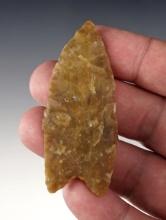 Rare 2 5/8" Paleo Allen - light brown Cobble Chert. Found in Oklahoma. Rogers COA.
