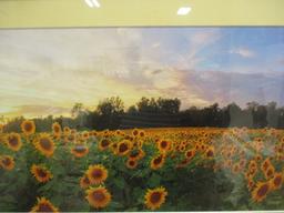 Framed and Matted Sunflower Field Photo Print