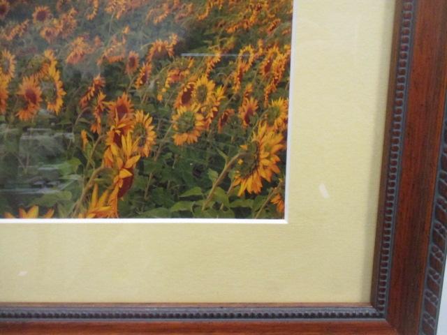 Framed and Matted Sunflower Field Photo Print