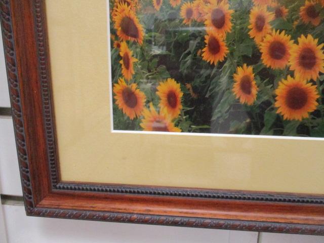 Framed and Matted Sunflower Field Photo Print