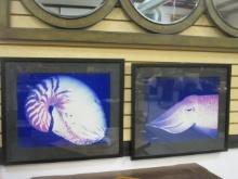 Two Framed and Matted Sea Life Photo Prints