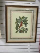 Framed and Matted "The Red Bird" Lithograph Print