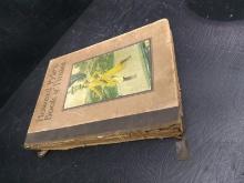 Vintage Book-Howard Pyle's Book of Pirates 1817