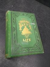 Vintage Book-The Royal Path of Life 1881