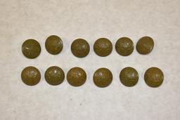 Twelve British Military Uniform Buttons