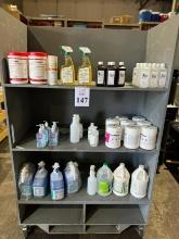 LOT CONSISTING OF ASSORTED CLEANER & DISINFECTANTS