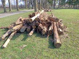 Approximately 30 Cedar Posts 8' Plus Various Diameters