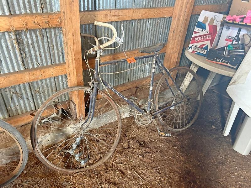 Raleigh Speed Bike