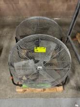 Tilt-Head Floor Fans