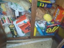 (LDR) CABINET LOT OF ASSORTED ITEMS INCLUDING HANDY CAR SCRUBBER, AUTOLITE POWERSEAL SPARK PLUG WIRE